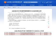 公司通過2023年省級“專精特新”中小企業認定